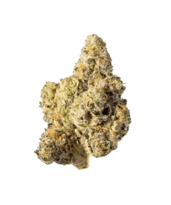 Acheter Pink Lemonade | Fleurs de Cannabis Exotique (THC 20,72%)