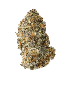 Acheter Purple Punch - Fleur THCa Exotique 25.60%