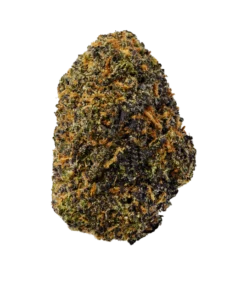 Rainbow Runtz - Variété Exotique THC 19.73%
