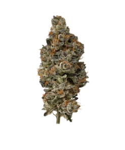 Acheter Sub Zero Exotic Cannabis