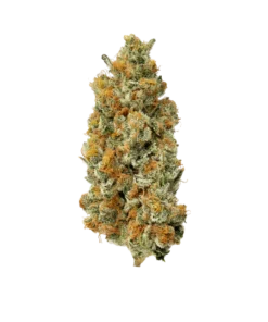 Acheter Super Goof - Cannabis Exotique