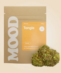 Acheter Tangie - Sativa Hybrid (28.89% THC)