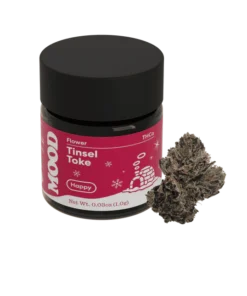 Tinsel Toke - Hybride Exotique Cherry Gelato