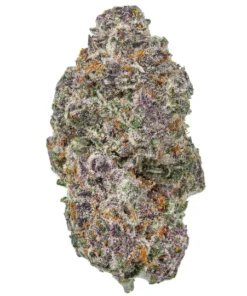 Acheter Alien Grapes Fleur THCa - Variété Exotique Indica Purple Punch