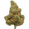Fleur THCa Blue Dream - Variété Sativa Exotique