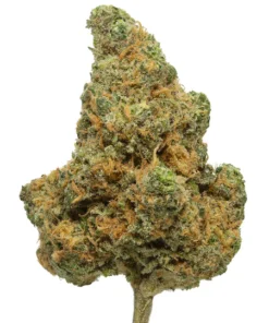 Fleur THCa Blue Dream - Variété Sativa Exotique