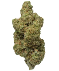 Acheter Durban Poison Fleur THCa - Sativa Pure Exotique