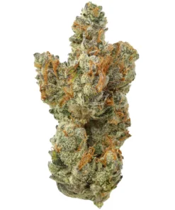 Acheter Frostade THCa - Fleur Hybride Exotique (Lemondary x Zoda)