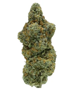 Acheter Gelato 41 - Fleur THCa Exotique (23.72%)