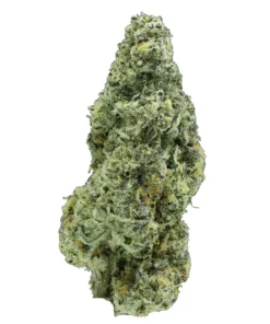 Acheter Georgia Pie - Fleur THCa Exotique