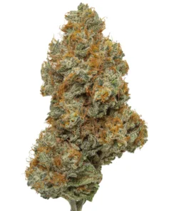 Acheter Northern Lights THCa - Fleur de Chanvre Indica Premium
