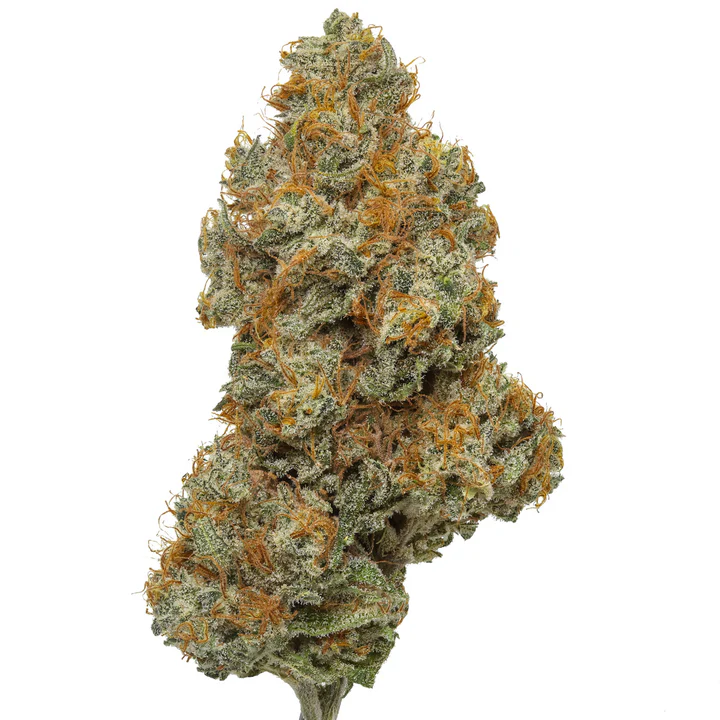 Acheter Northern Lights THCa - Fleur de Chanvre Indica Premium