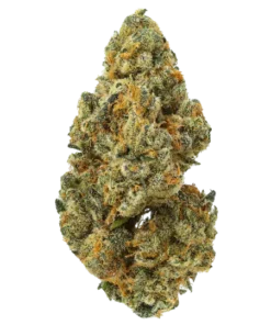 Acheter Watermelon Pines - Fleur CBD THCa Exotique