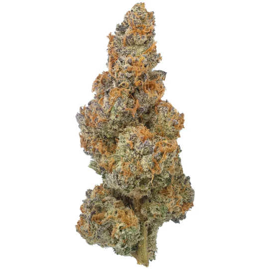 Acheter Biscotti Trop Triploid THCa - Fleur Exotique de Qualité