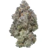 Acheter Pink Certz - Fleur THCa Exotique (25.17%)